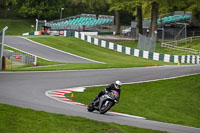 Lower Group Silver_Grey Bikes